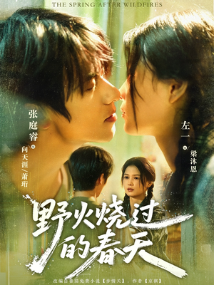 野火烧过的春天（85集）免费短剧完整版