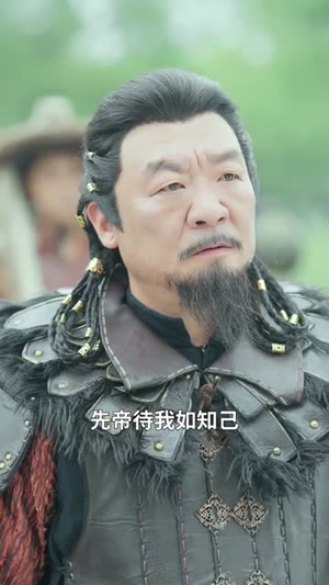 金牌十二道道道负真情（70集）全集一网打尽