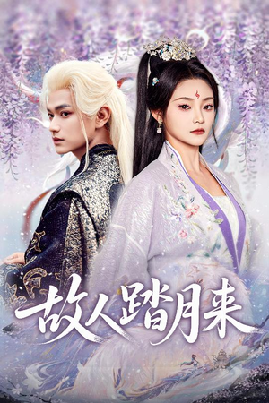 故人踏月来（60集）高清画质免费看