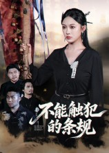 不能触犯的条规（50集）太好看了短剧