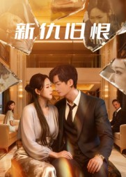 新仇旧恨（51集）短剧中追到爽