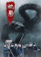蛇影（25集）全集