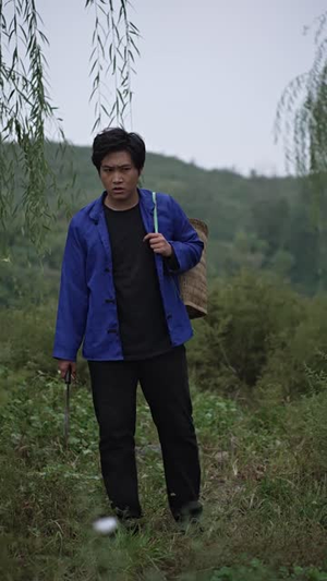 狐妖的宝藏（31集）每日短剧分享