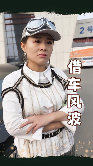 借车风波（19集）网盘在线观看