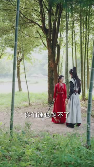 罪臣之女获君心（70集）精彩短剧后续