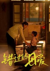 错过的母爱（32集）最新上映免费看