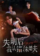 失明后我认错了未婚夫（34集）最新热门短剧
