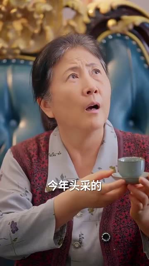 小福星第二季（62集）精彩短剧热播