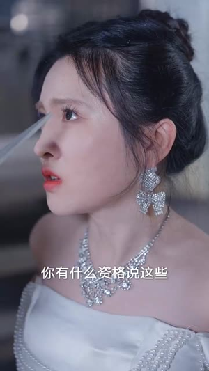 野蔷归途（80集）第二季