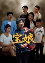 宝娘(23集) 宝娘(23集)看到了大结局