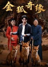 金狐奇缘(42集) 金狐奇缘(42集)免费短剧看全集