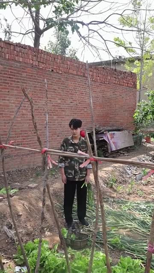 黄皮诡事(29集) 黄皮诡事(29集)常回家看看短剧