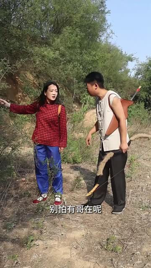 太岁引祸(31集) 太岁引祸(31集)在线观看全集