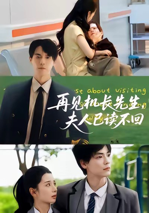 再见机长先生夫人已读不回(62集) 再见机长先生夫人已读不回(62集)在线免费观影