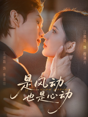是风动也是心动（60集）超甜短剧分享