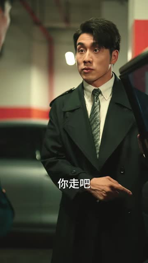 追凶者（52集）追短剧太上头了