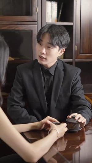 高端的试探太极（15集）在线免费观看