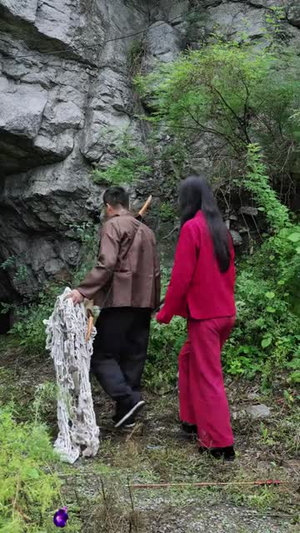 石纹灵龟（30集）每日短剧分享