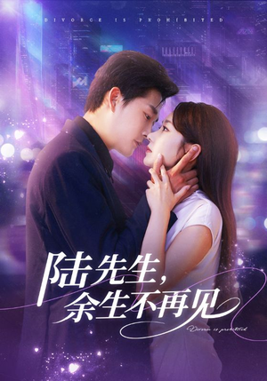 陆先生,余生不再见(88集) 陆先生,余生不再见(88集)短剧追到爽