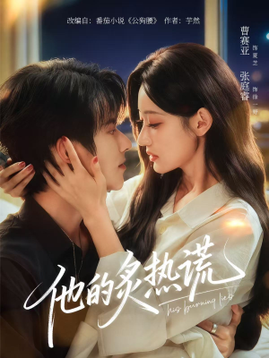 他的炙热谎（63集）常回家看看短剧