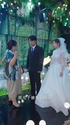 熊孩子毁了我的婚礼（36集）短剧热门推荐
