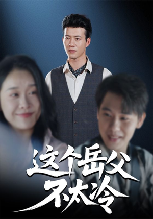 这个岳父不太冷（30集）高分佳作免费看