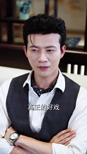 这个岳父不太冷（30集）在线观看完整版