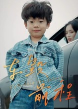 车毁前程（30集）在哪看免费