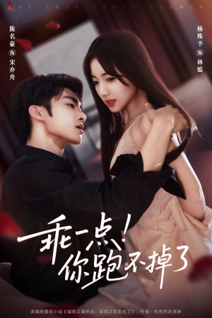 乖一点！你跑不掉了（85集）热播短剧免费看