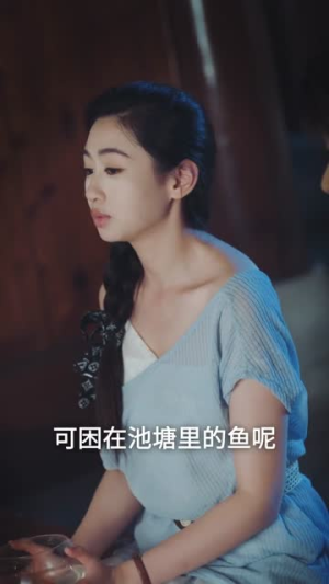 盛夏恋歌：情定大饭店（67集）流畅播放免费看