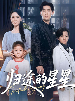 归途的星星(100集) 归途的星星(100集)短剧在线观看