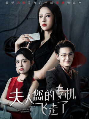 夫人您的专机飞走了(62集) 夫人您的专机飞走了(62集)爱上了这部剧了