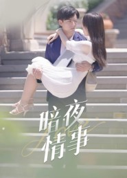 暗夜情事(100集) 暗夜情事(100集)追风的女孩短剧