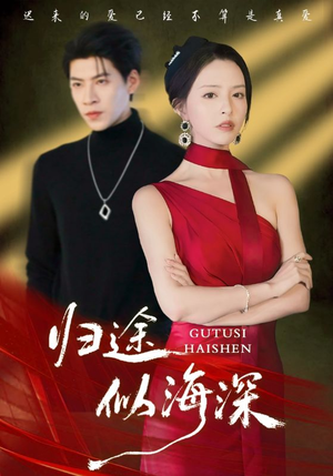 归途似海深（61集）哪个短剧网能看