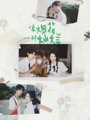 像烟花一样灿烂(60集) 像烟花一样灿烂(60集)哪个网站可以看