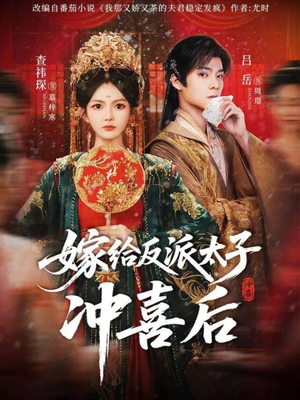 嫁给反派太子冲喜后（64集）百度网盘资源