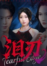 泪刃（40集）全集都在这里了