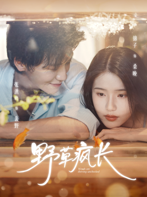 野草疯长（71集）恋爱短剧分享