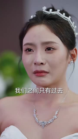 风停意未绝（50集）解说文案