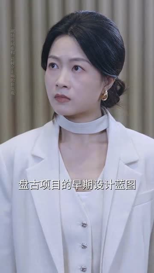 婿业难成（69集）让你一口气看完