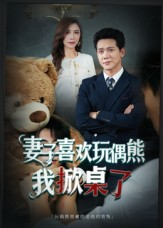 妻子玩偶里的秘密（61集）怎么看全集