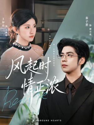 风起时情正浓(79集) 风起时情正浓(79集)最后一集