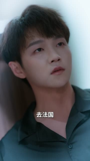 雀占凤巢（80集）热播短剧推荐