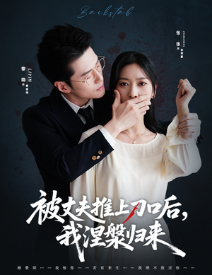 复婚抱歉我只谈判不谈情（65集）精彩短剧下载