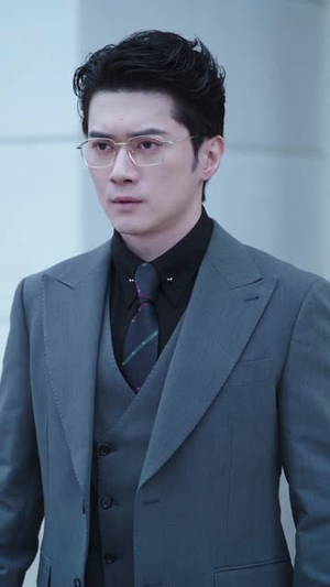 复婚抱歉我只谈判不谈情（65集）短剧精彩推荐