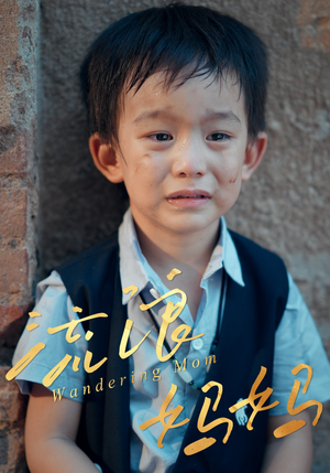 流浪妈妈（30集）全集免费看短剧