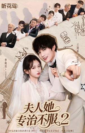 夫人她专治不服2（79集）热门短剧大全