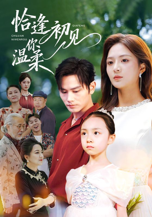 恰逢初见你温柔(86集) 恰逢初见你温柔(86集)番茄免费短剧