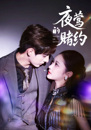 夜莺的赌约（71集）短剧中追到爽