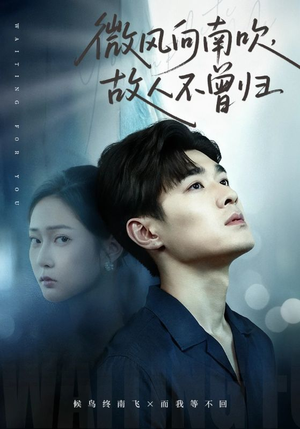 微风向南吹，故人不曾归（72集）好看短剧又来了